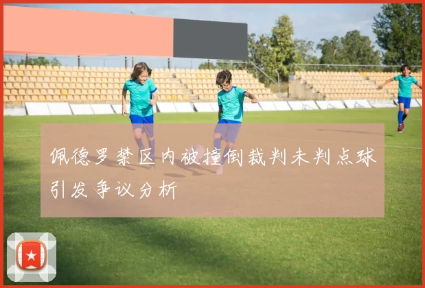佩德罗禁区内被撞倒裁判未判点球引发争议分析